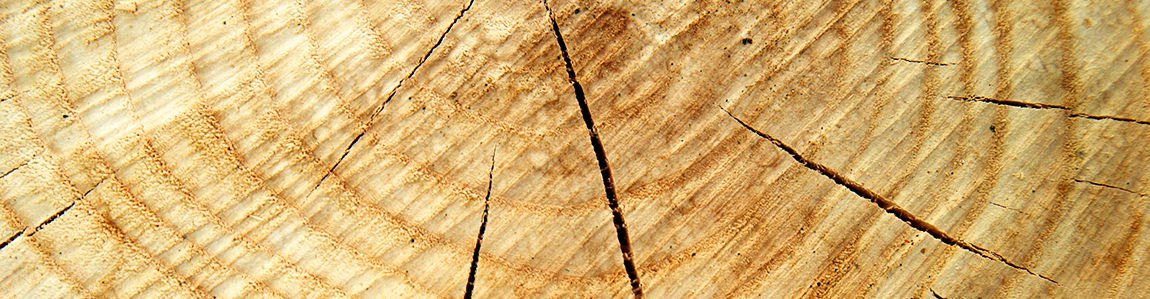 Fotobalk Hout Lokaal