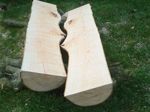 Hout uit de Betuwe